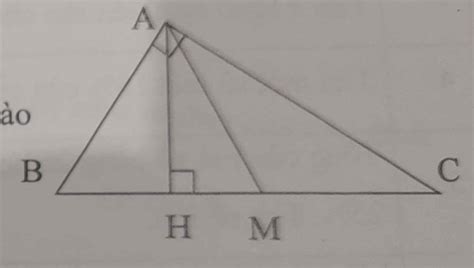 tam giác tù là gì